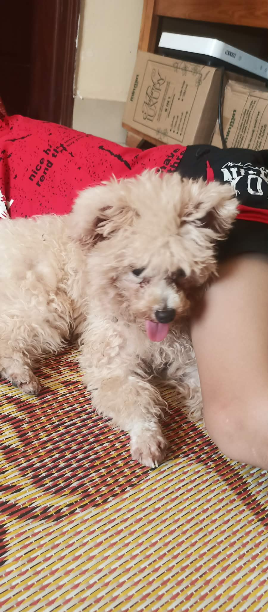 Ảnh đại diện Nguyễn Huy